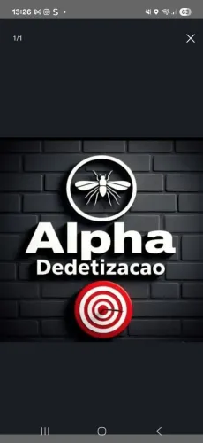 Dedetização de pragas e insetos