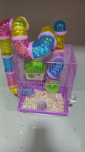 Vendo gaiola e hamster