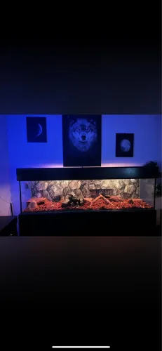 Terrário/aquario 