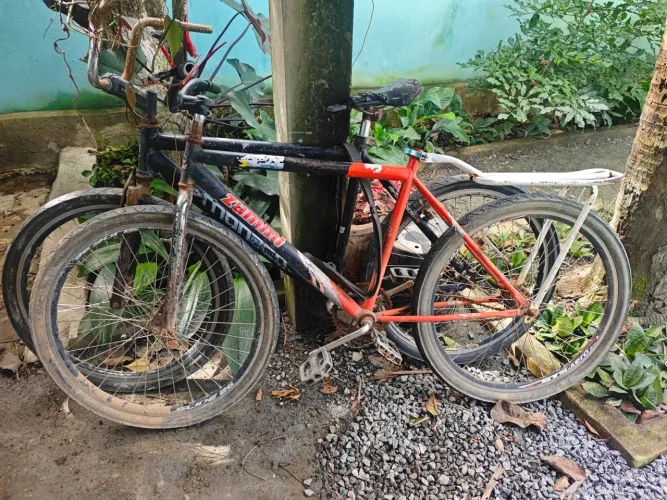 Várias bicicletas pra conserto