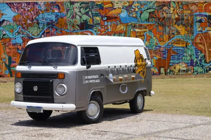 Volkswagen Kombi Furgão 1.4 MI Total Flex 8V 2009