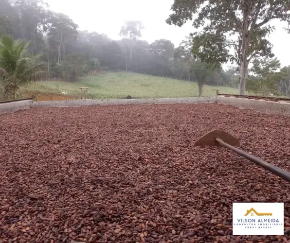 Áreas à venda, SERRA GRANDE, Uruçuca, BA