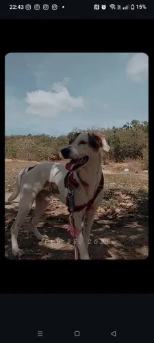 Doação