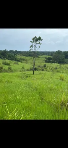 Fazenda região do pará