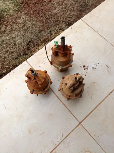 Bomba sapo 