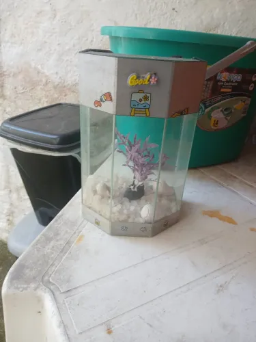 Aquário 20reais