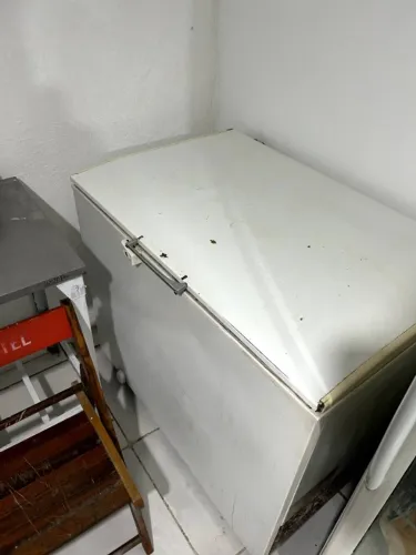 Freezer horizontal