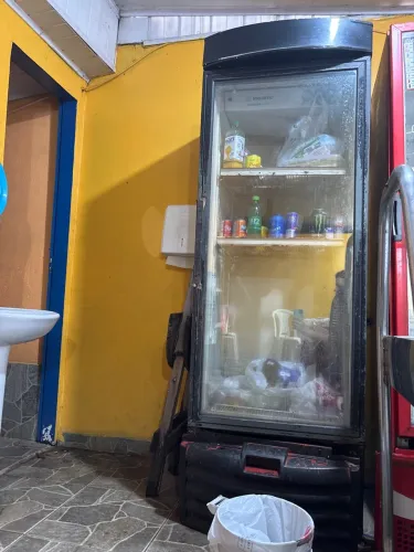 Freezer vertical