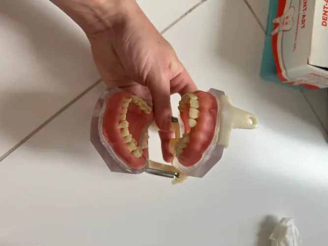 2 Manequins cirurgia dent art + placa sutura