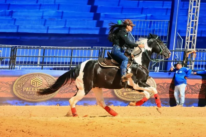 Cavalo de tambor