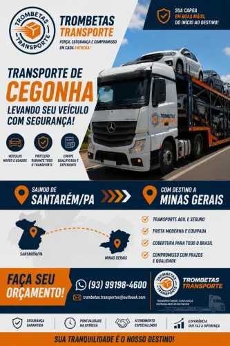 Transporte de mudança , cargas,veículo e equipamentos s 