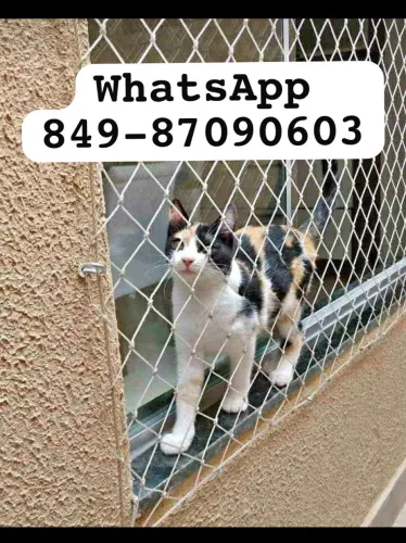 Redes de proteção