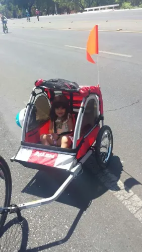 Bike trailer carretinha para 2 crianças ou animais
