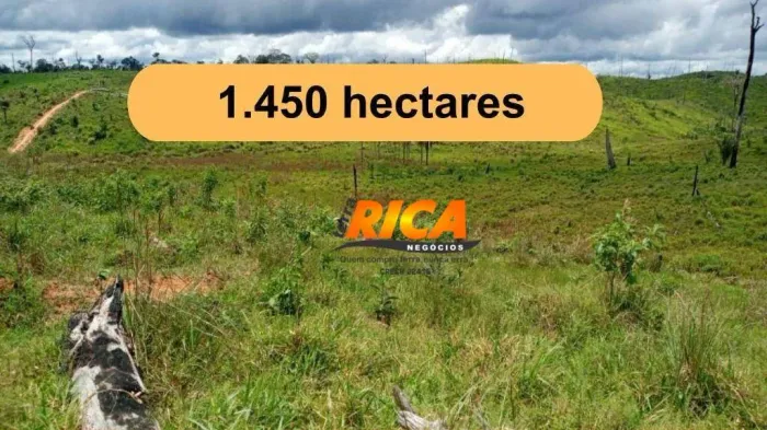 Vende-se Fazenda com 1.450 hectares no município de Apuí/AM