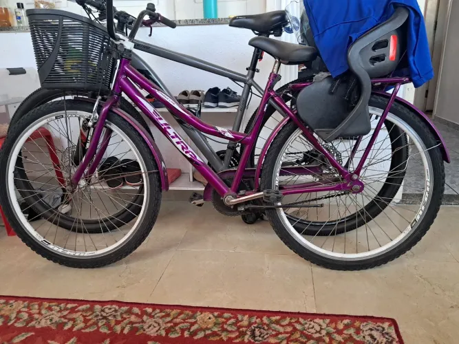 Bicicleta Feminina