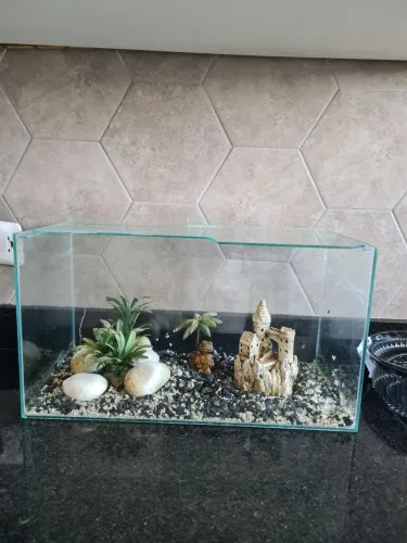 Aquario com pedras e enfeites
