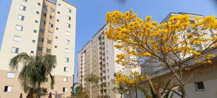 Apto 2 Dorm com Garagem coberta / 8ª andar / Bairro Tingui / Piscina Aquecida