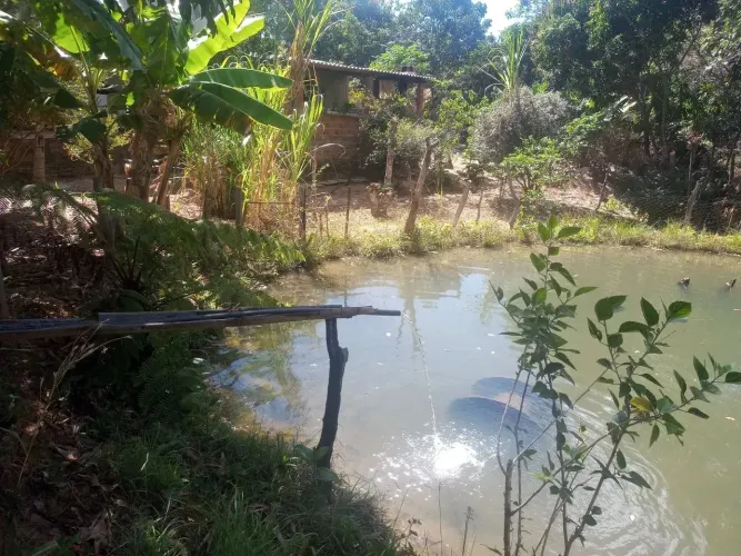 Chácara a venda 1 alqueire e 18 litros em Zona Rural - Corumbá de Goiás - GO