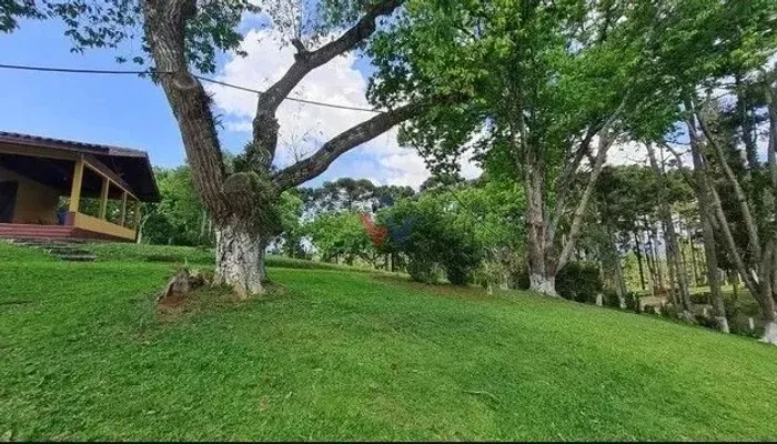Sítio em Quatro Barras 150.000 m com casas, pomar, campo e mata nativa