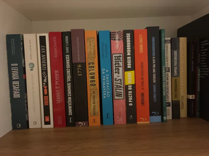 Combo 18 livros de história, literatura e política 