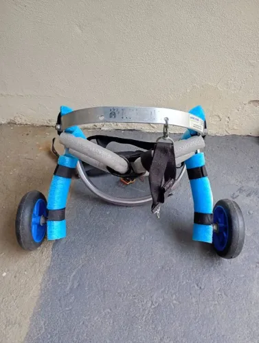 Carrinho pra Pet