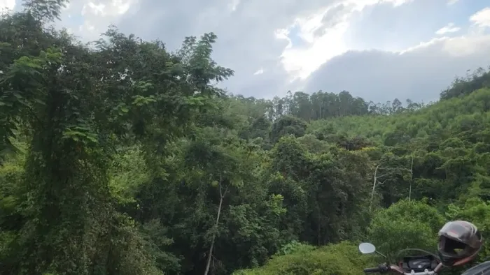 Fazenda Aroeira, terreno rural 27 hectares com eucalipto (Mariana - Aguas Claras)