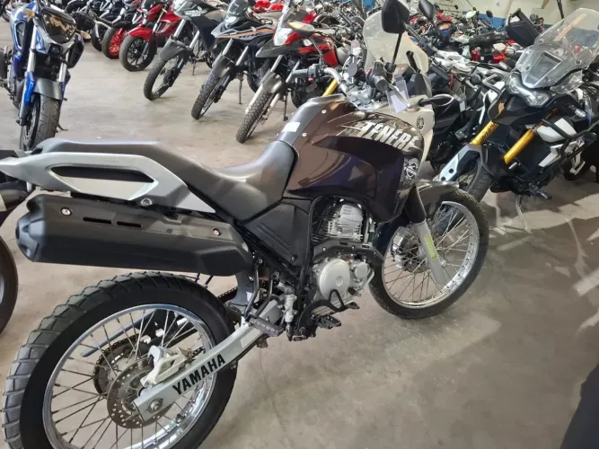 Yamaha XTZ 250 Tenere  2018 shalom veículos 