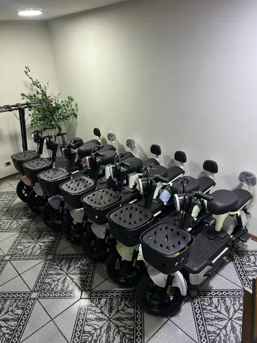 Moto elétrica 500watts