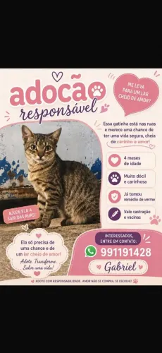 Doação
