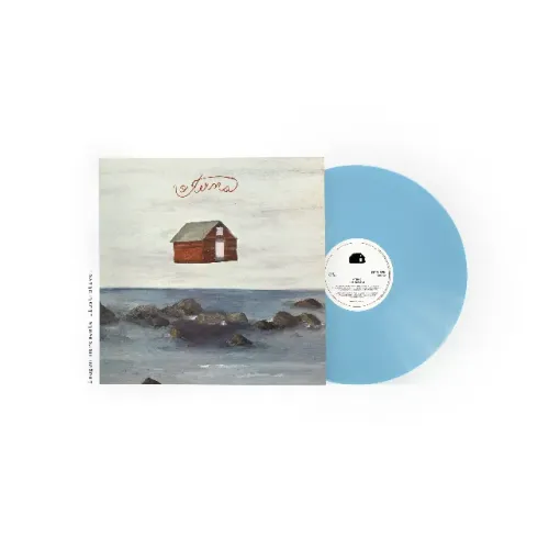 Vinil LP - O Terno - O Terno