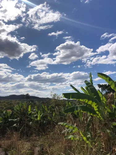 Lote 450m² em Teresina de Goiás- Chapada dos Veadeiros