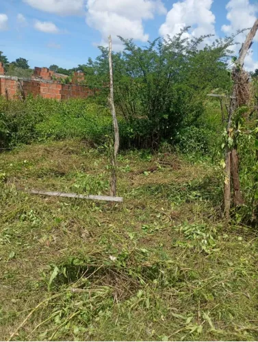 Vendo terreno 6X25