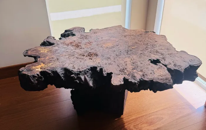 Mesa de Centro Raiz em Madeira Maciça - Peça Única