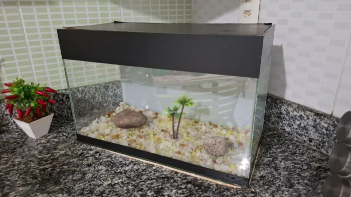 Aquario Para Peixes