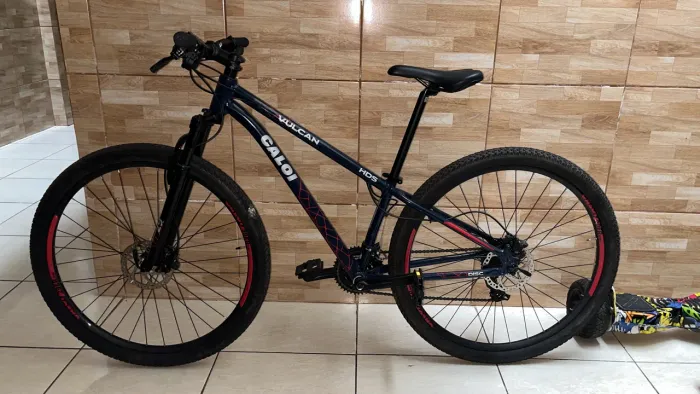 Bicicleta