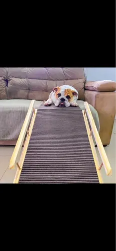 Rampa pra Pet