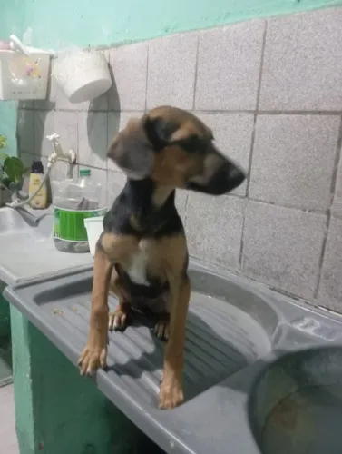 Doação 
