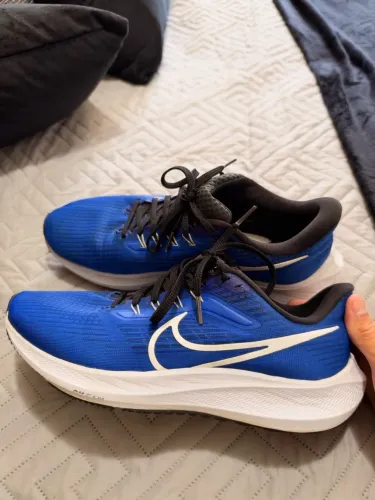 Tenis Nike Pegasus 39