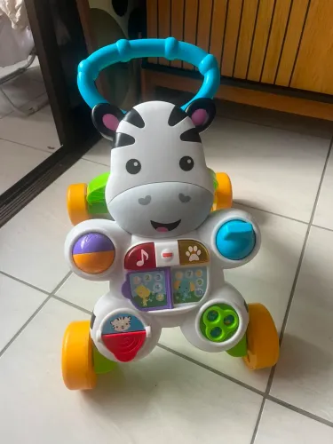 Andador/Apoiador da Fisher Price