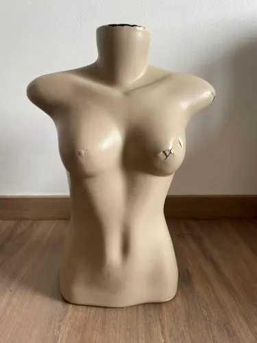 Busto Manequim Feminino