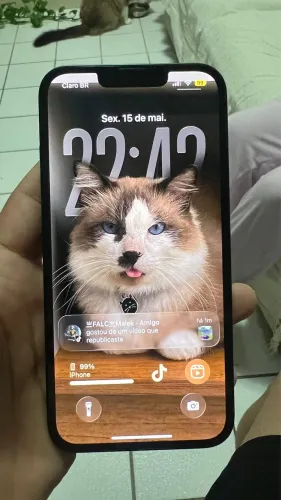 iPhone 13