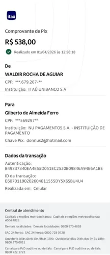 10 cadeiras de ferro dobráveis 