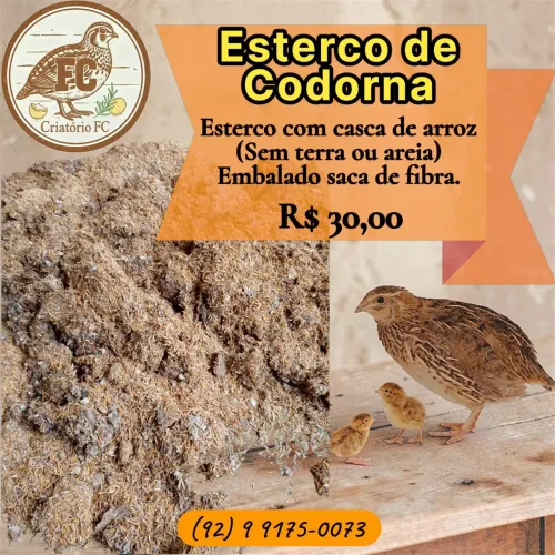 Esterco de codorna Adubo 