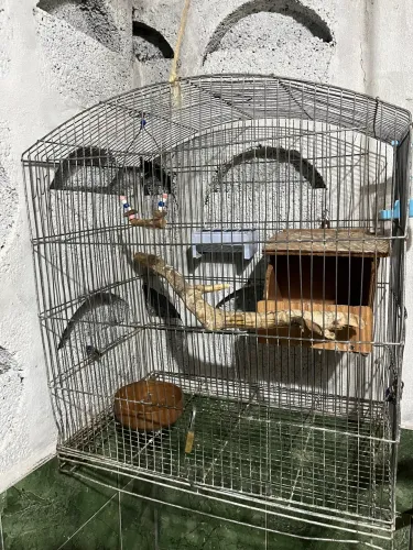 Vendo completa