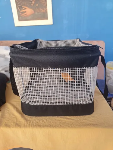 Casinha de Transporte Para Cachorro 