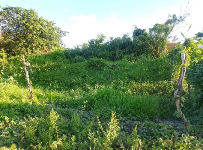 Terreno em socorro a venda
