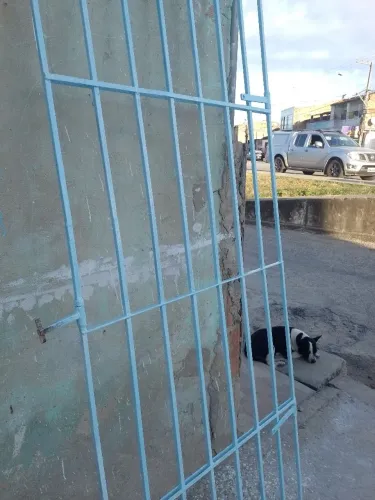 Grade de porta