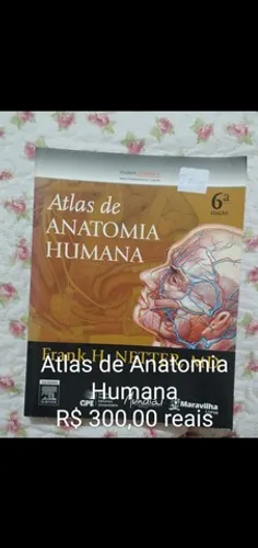 Atlas de Anatomia Humana -Frank H, Netter, MD
