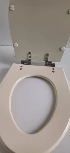 Assento sanitário poliéster biscuit 80,00