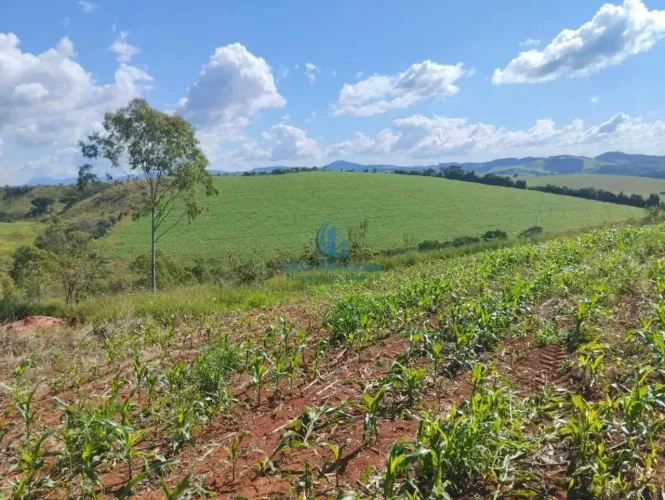 Fazenda à venda em Conceição do Rio Verde: oportunidade única! REF: RV040